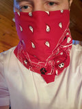 Red Loons Bandana