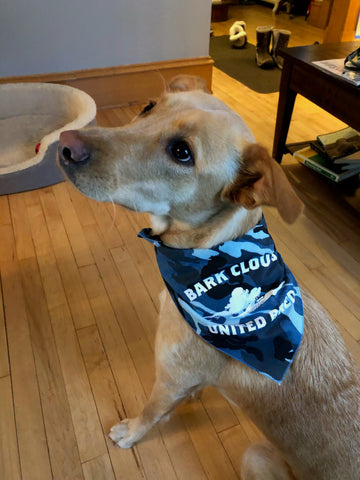 Bark Clouds Dog Bandana