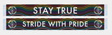 True North Elite - "Stride With Pride" Scarf